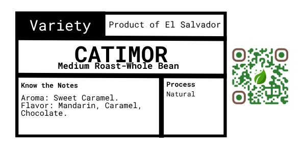 Catimor - Natural